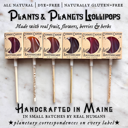 Plants & Planets Lollipops - 2025-2026 Winter Collection