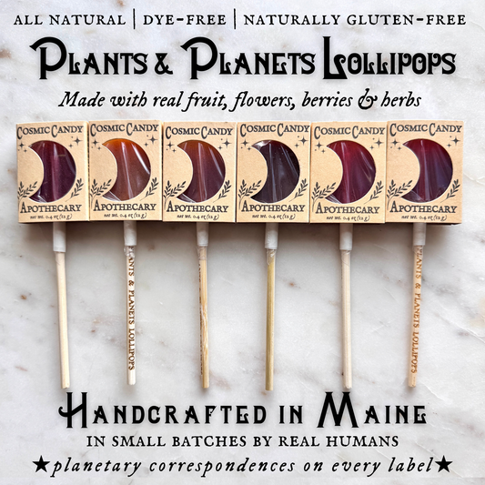 Plants & Planets Lollipops - 2025-2026 Winter Collection