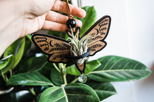 Death's Head Moth Airplant Holder Hanging Suncatcher