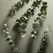 Load image into Gallery viewer, Eucalyptus-Rosemary Nourishing Sanitizer Mini Refill Pouch
