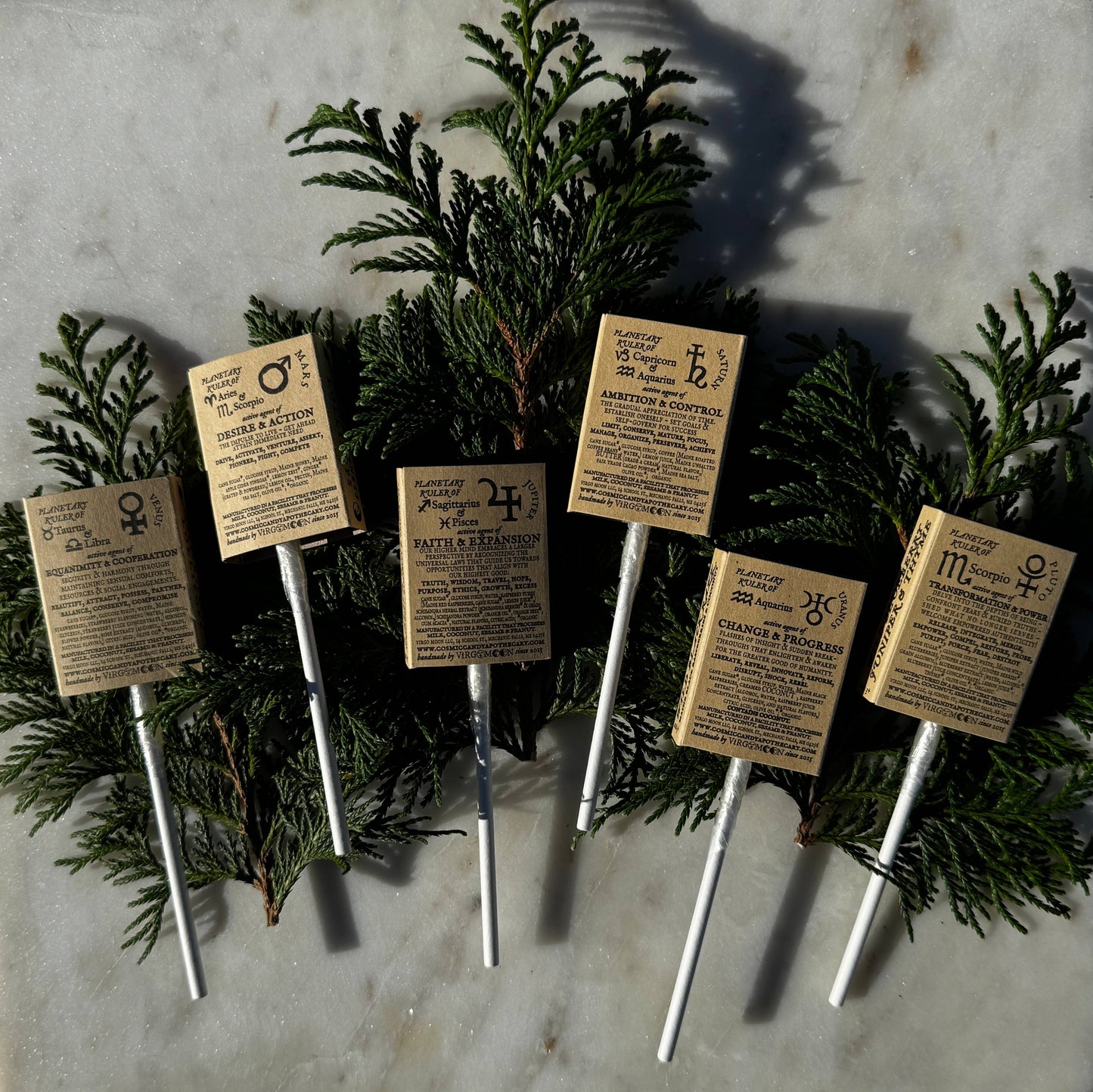 Plants & Planets Lollipops - 2025-2026 Winter Collection