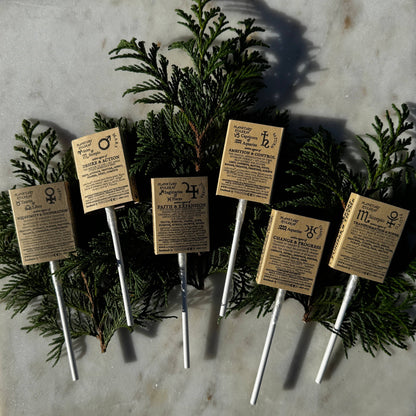 Plants & Planets Lollipops - 2025-2026 Winter Collection