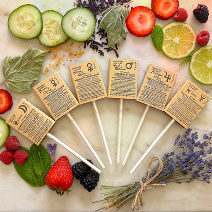 Plants & Planets Lollipops - Summer Collection Assortment