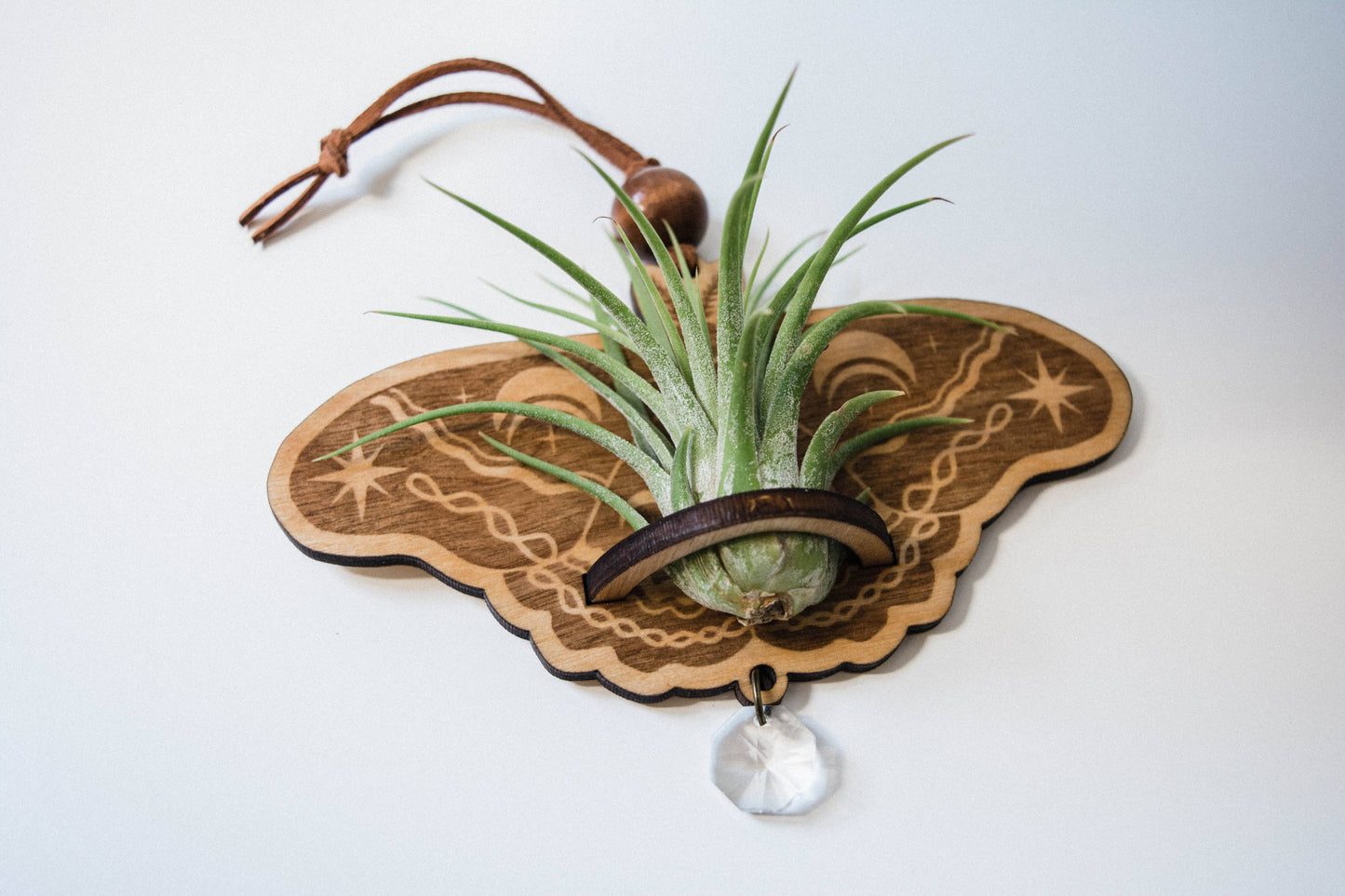 Lunar Moth Wooden Airplant Holder Wall Hanger Suncatcher