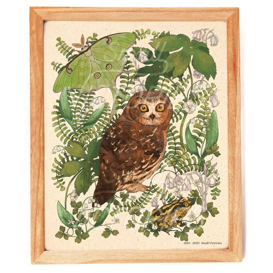 Moonlit Forest Print - Northern Saw-whet Owl