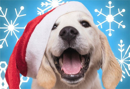 Santa Paws Mini Jigsaw Puzzle christmas dog stocking stuffer