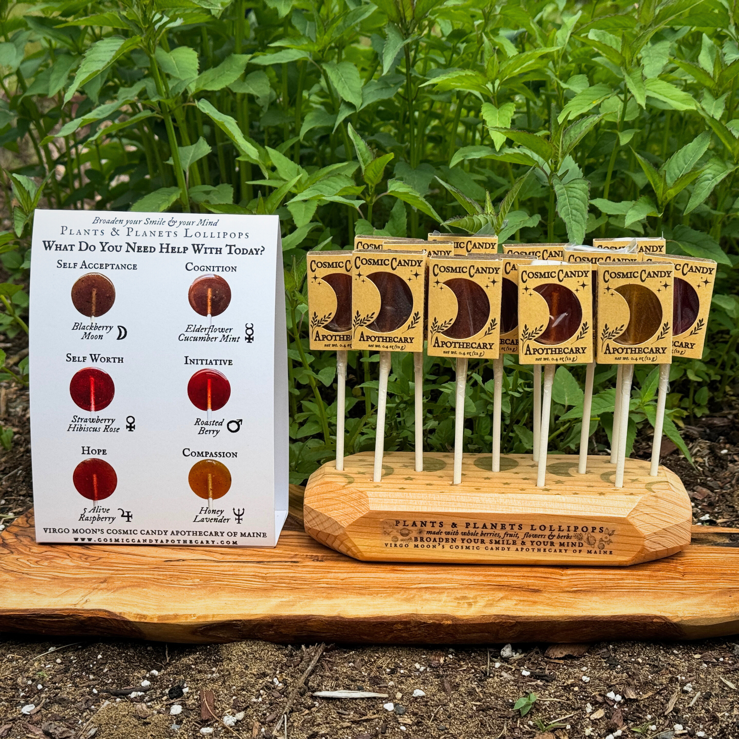 Plants & Planets Lollipops - Summer Collection Assortment