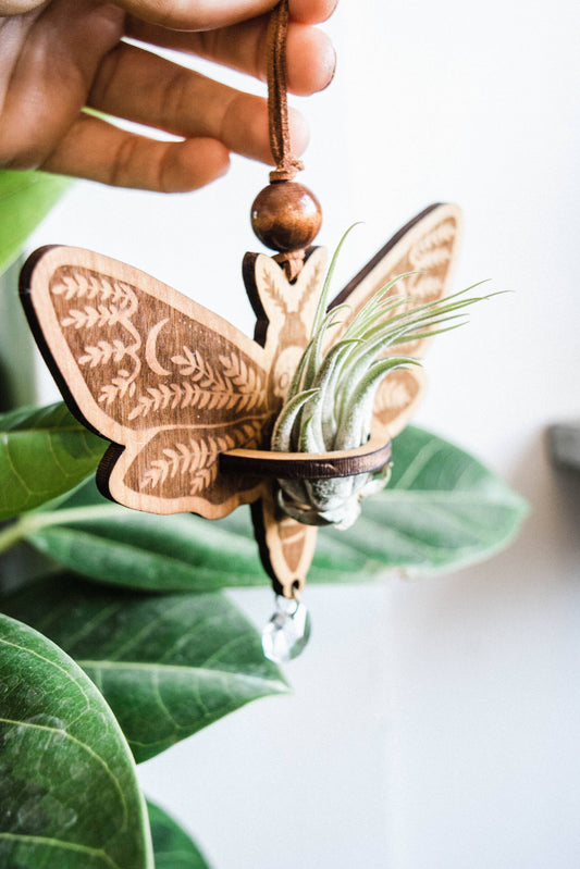 Death's Head Moth Airplant Holder Hanging Suncatcher