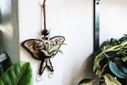 Luna Moth Airplant Holder Hanging Suncatcher