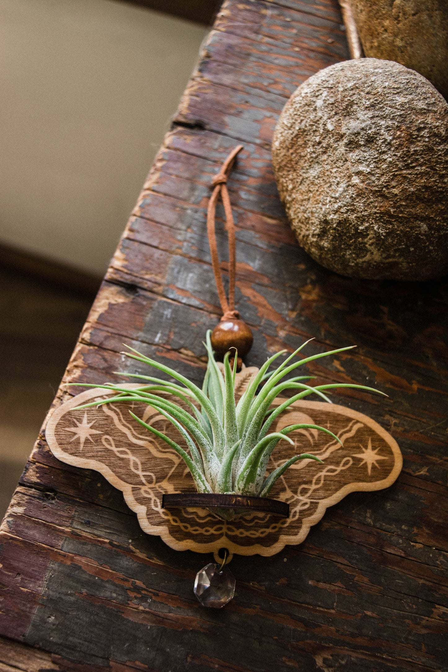 Lunar Moth Wooden Airplant Holder Wall Hanger Suncatcher