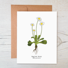 Load image into Gallery viewer, Plantable Seed Cards
