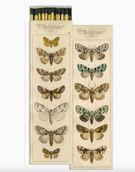 Moths - 8.5 Inch Decorative Matches