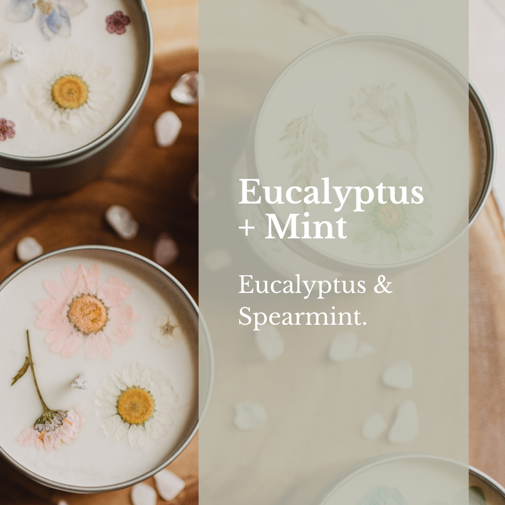 Eucalyptus + Mint Soy Candles