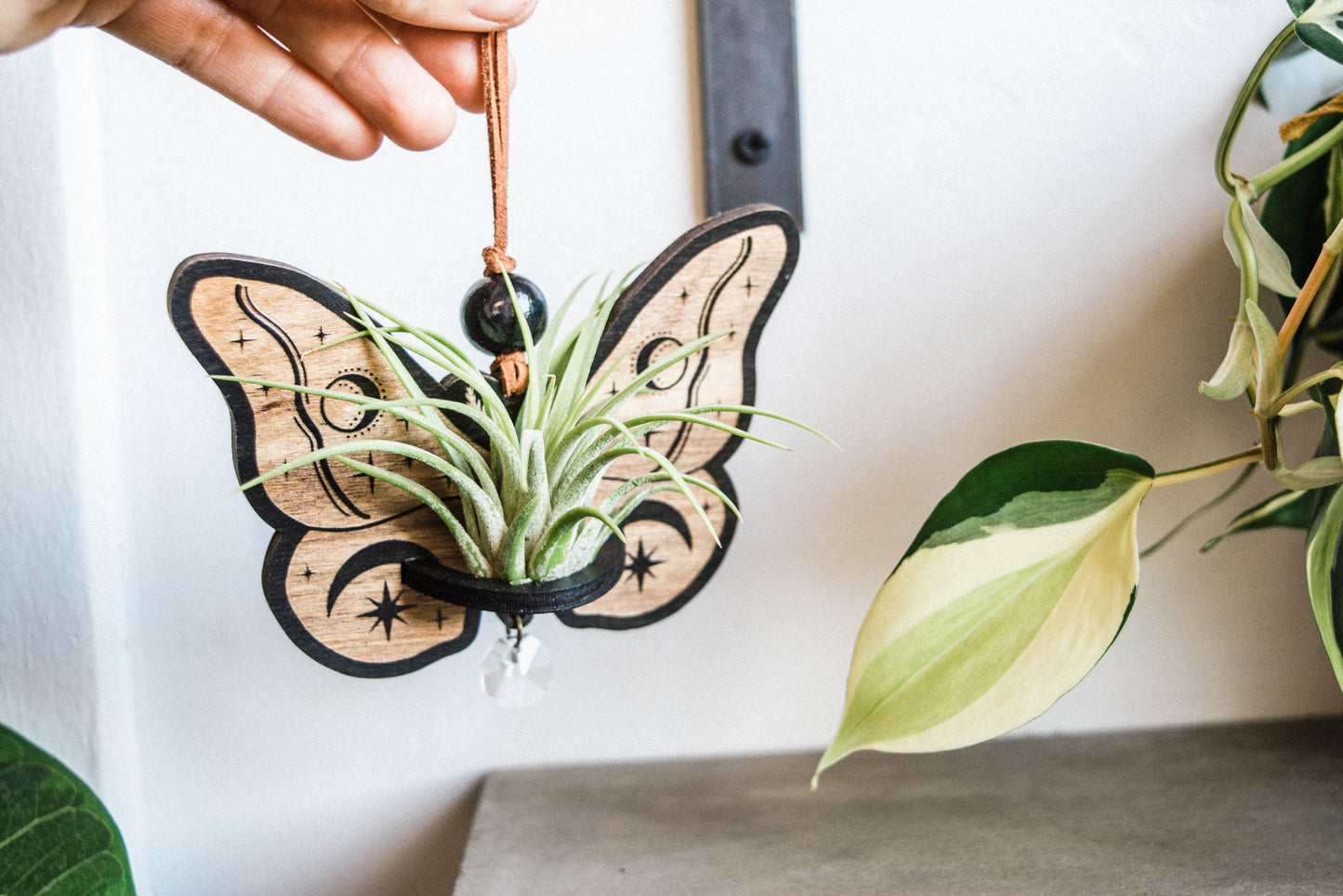 Celestial Moth Air Plant Hanger Suncatcher Crystal Prism