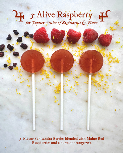 Plants & Planets Lollipops - Summer Collection Assortment