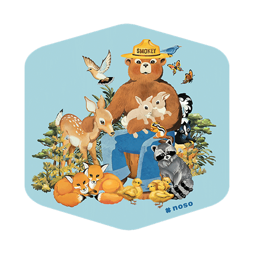 Smokey's Friends