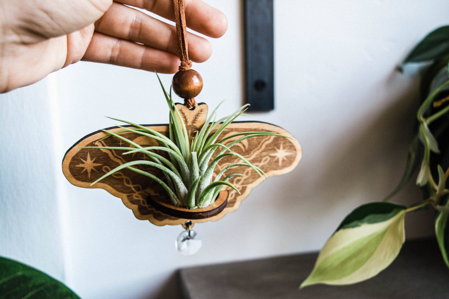 Lunar Moth Wooden Airplant Holder Wall Hanger Suncatcher
