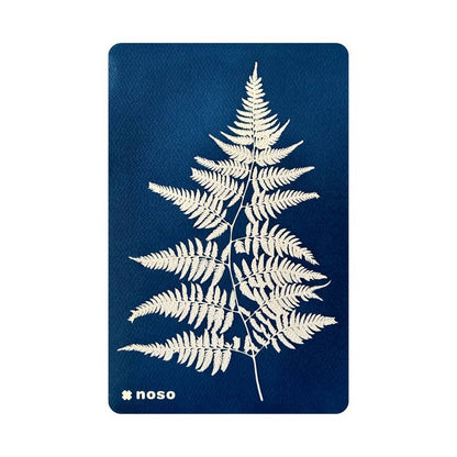 Fern