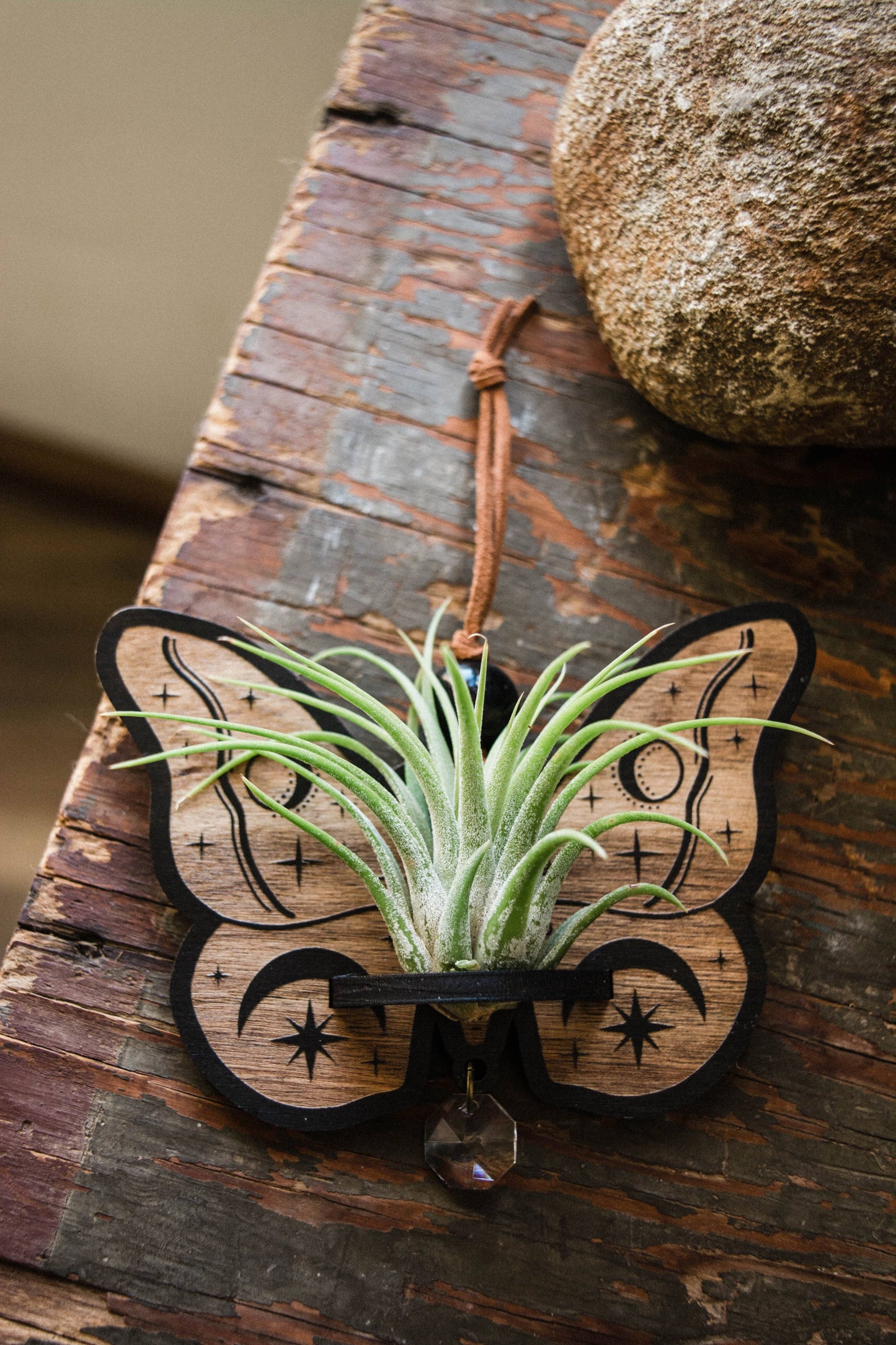 Celestial Moth Air Plant Hanger Suncatcher Crystal Prism