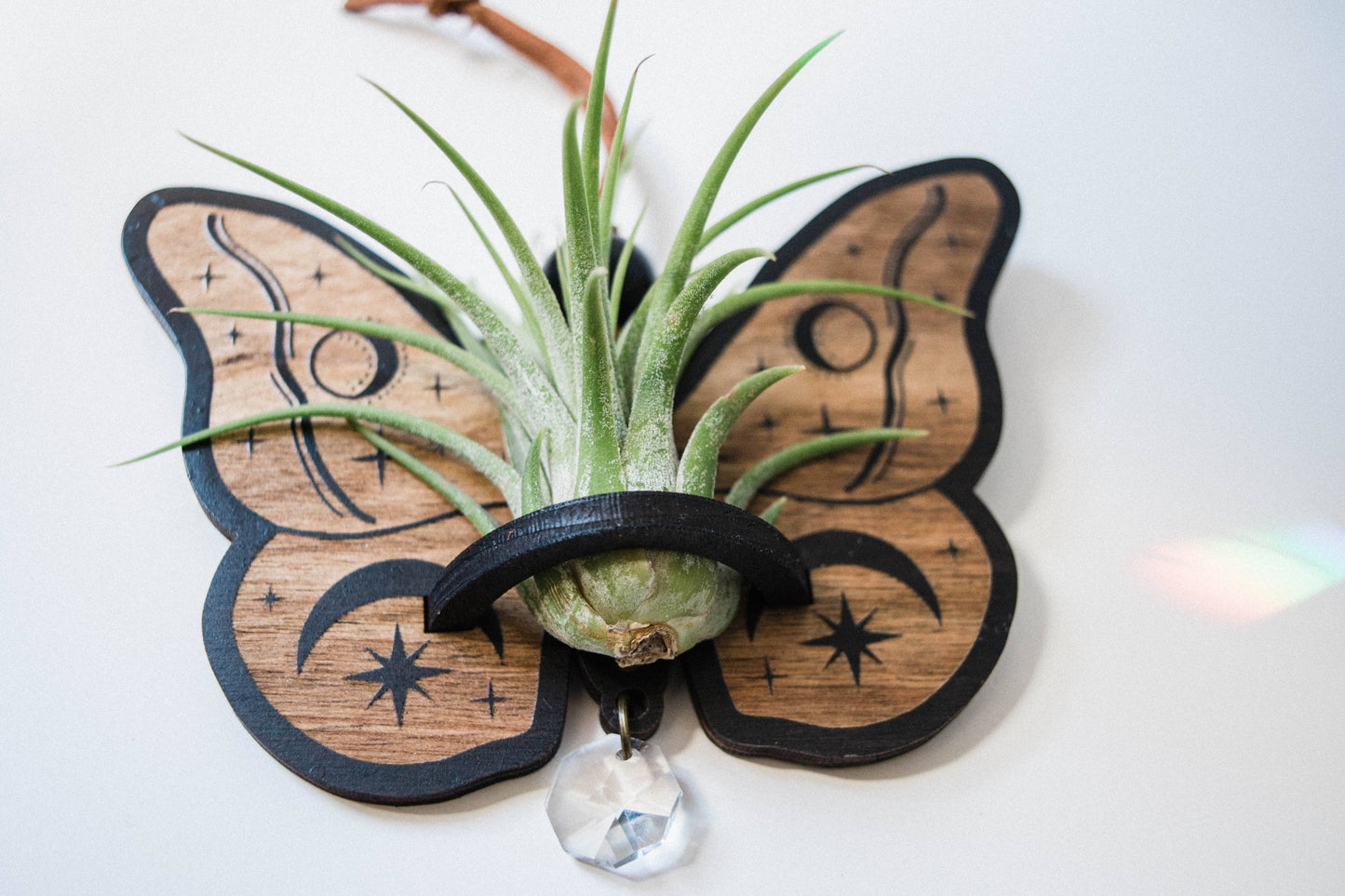 Celestial Moth Air Plant Hanger Suncatcher Crystal Prism