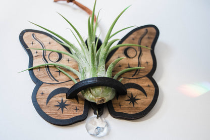 Celestial Moth Air Plant Hanger Suncatcher Crystal Prism