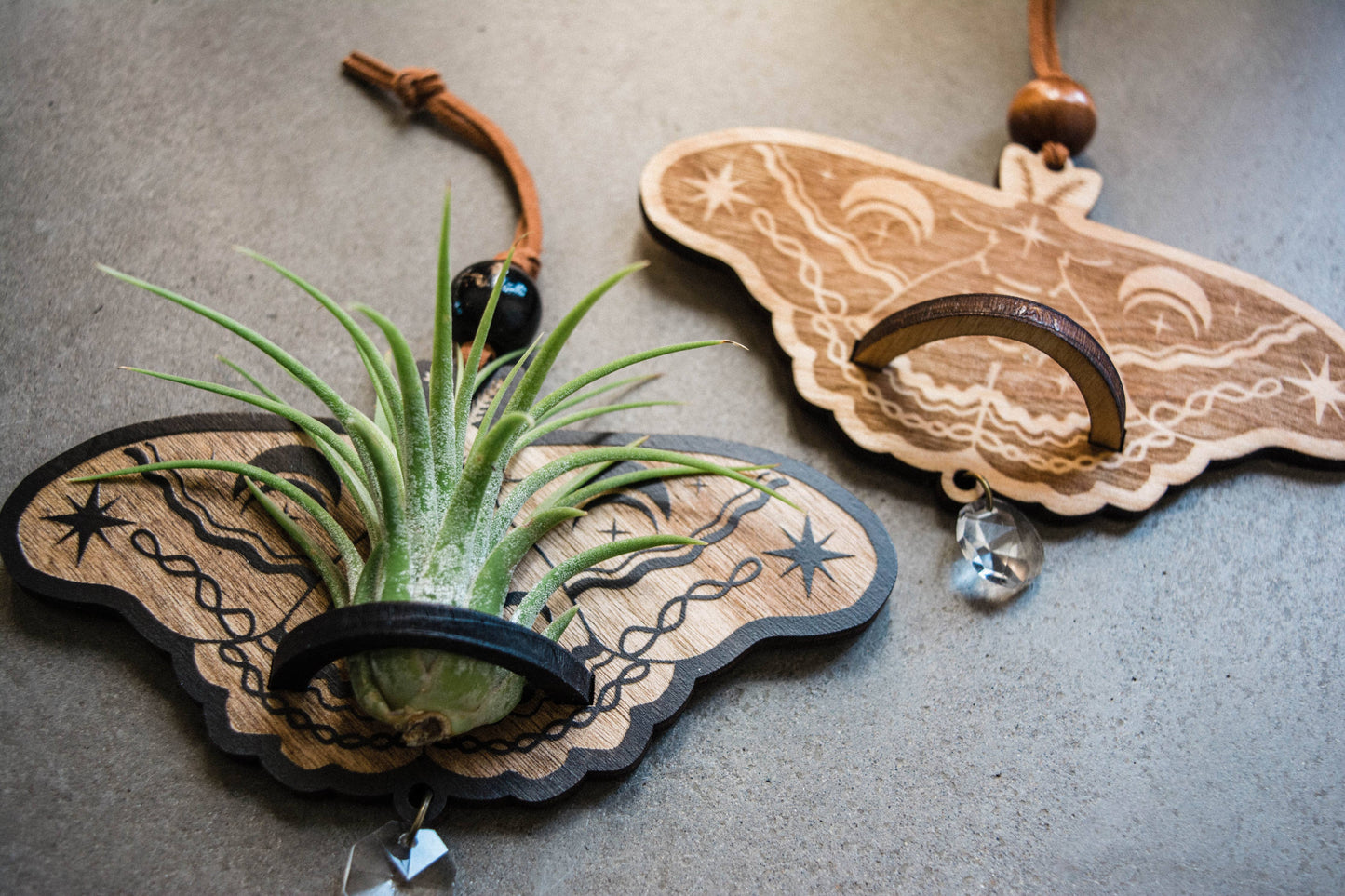 Lunar Moth Wooden Airplant Holder Wall Hanger Suncatcher
