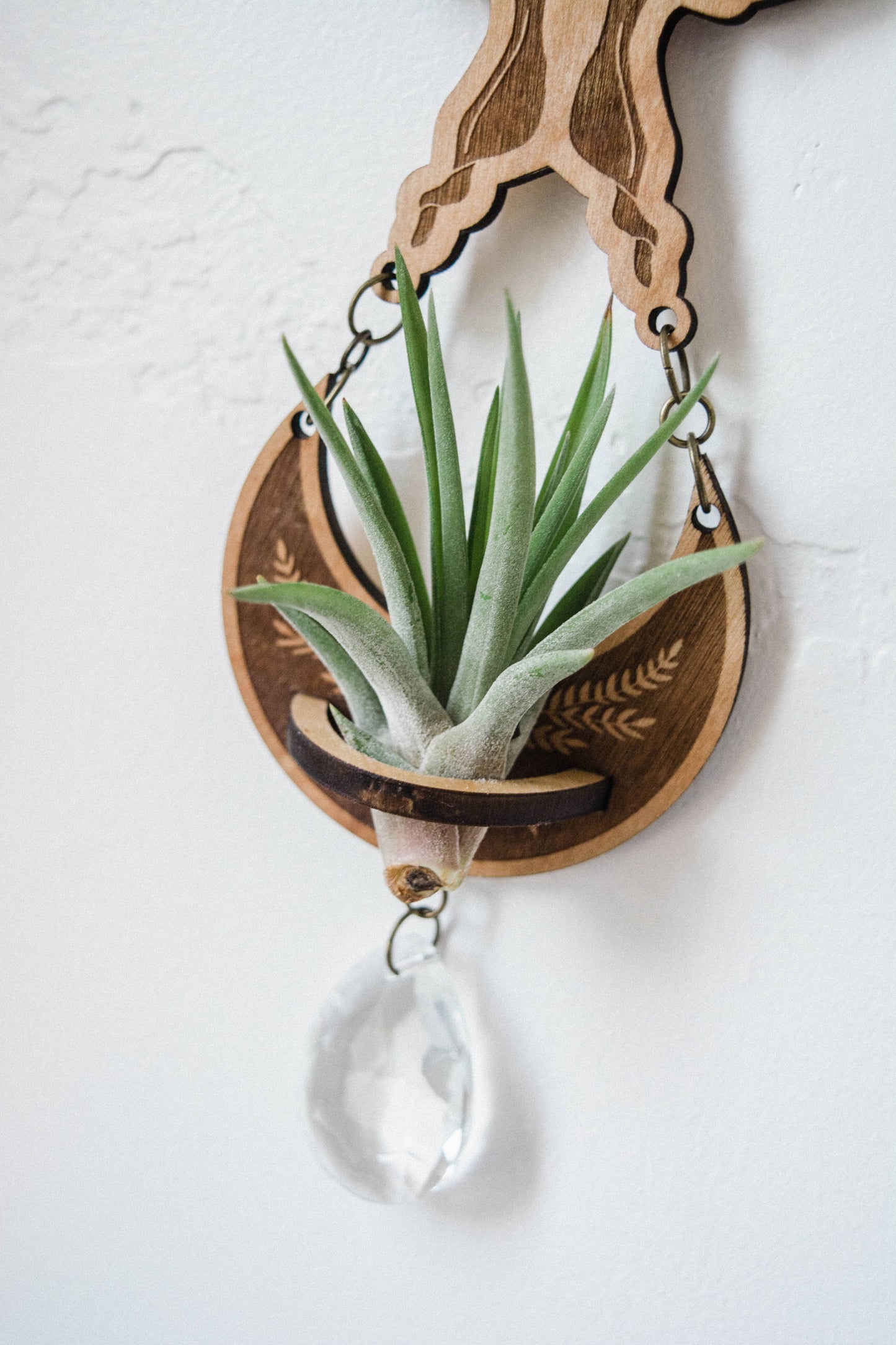 4 Moth Airplant Holder Suncatcher w/ Crystal Prisms