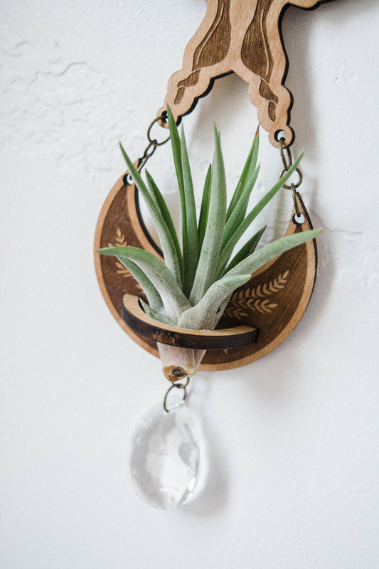 4 Moth Airplant Holder Suncatcher w/ Crystal Prisms