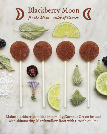 Plants & Planets Lollipops - Summer Collection Assortment