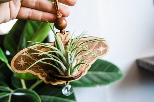 Lunar Moth Wooden Airplant Holder Wall Hanger Suncatcher