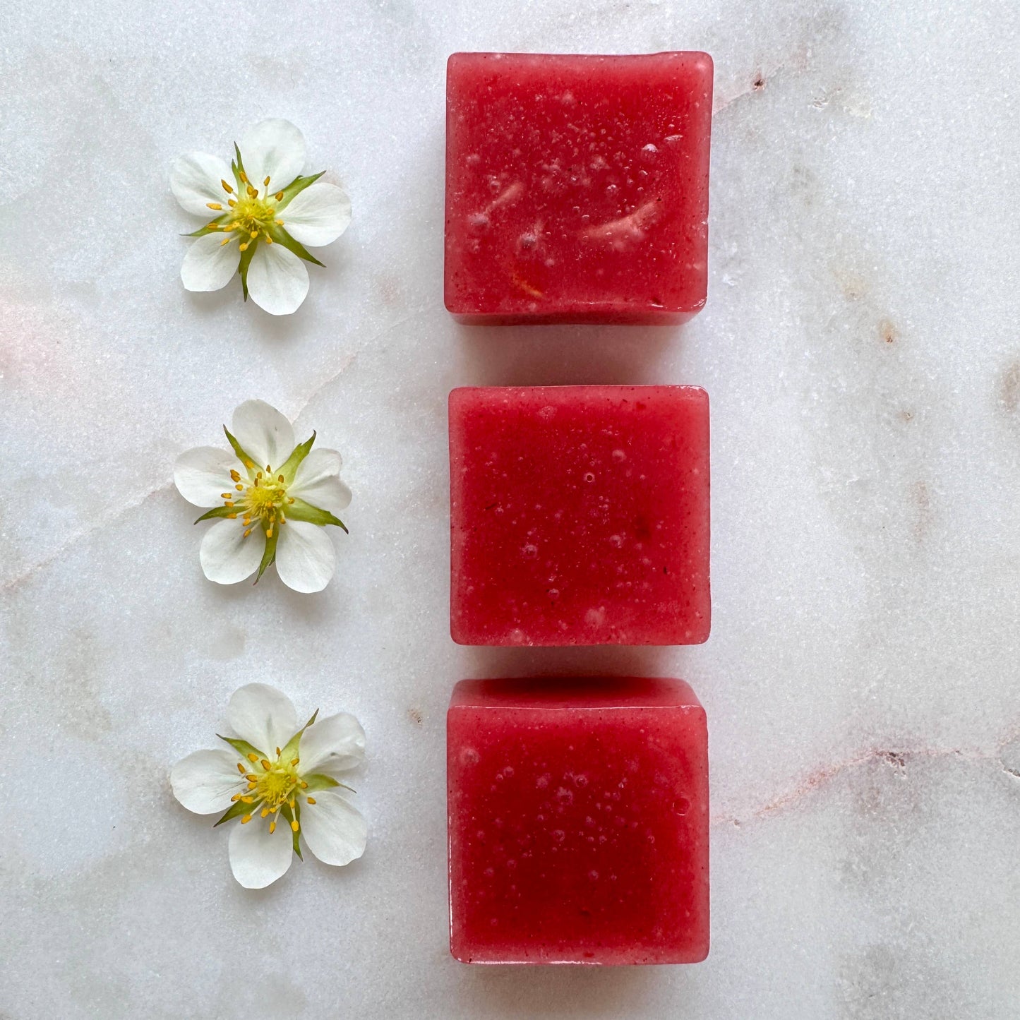 Strawberry Hibiscus Rose Fruit Chews