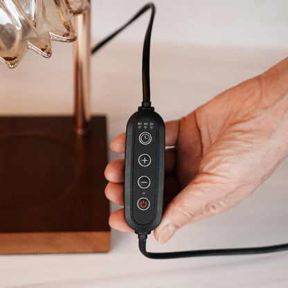 Warmer Lamp with Timer Dimmable Wax Melt Warmer for Jar Candles with 2 Bulbs