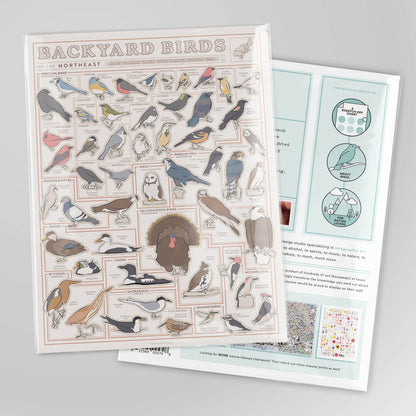 Birds of the Northeast Scratch-Off Chart | 12" x 16" Print
